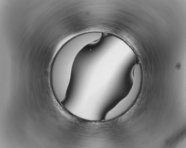 X0000089890854200707262228