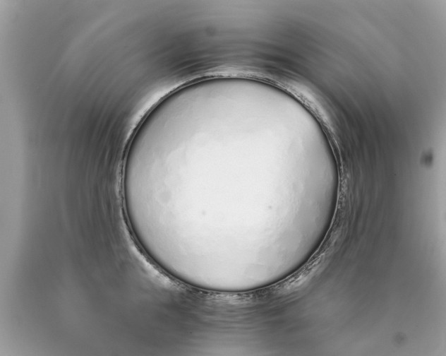 X0000089890855200707262228