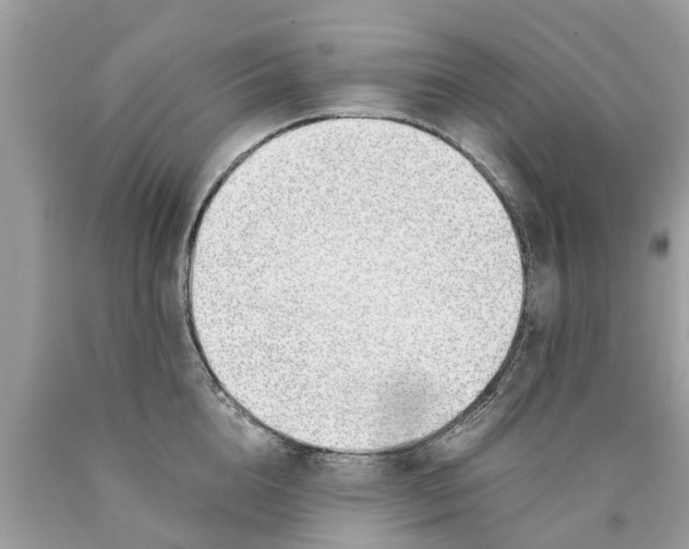 X0000089890856200707262228