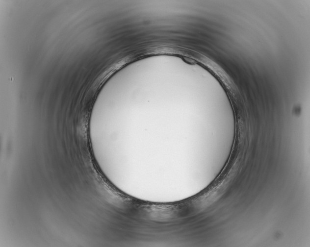 X0000089890857200707262228