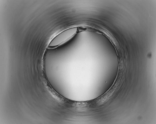 X0000089890858200707262228