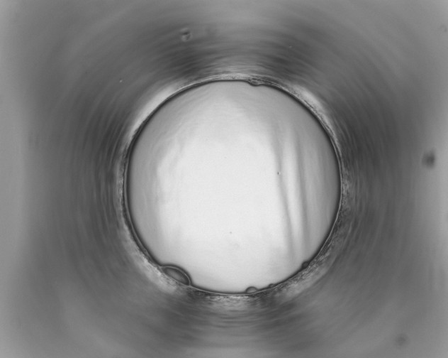 X0000089890859200707262228