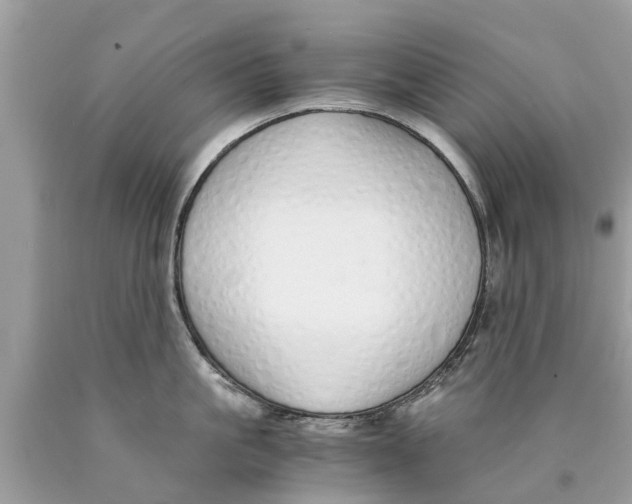 X0000089890861200707262228