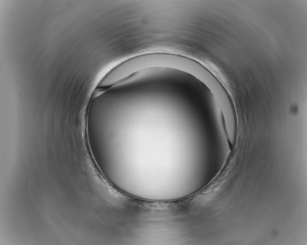 X0000089890862200707262229