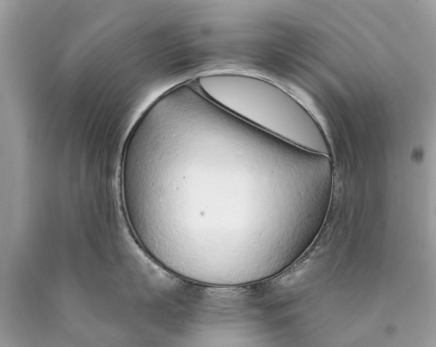 X0000089890863200707262229