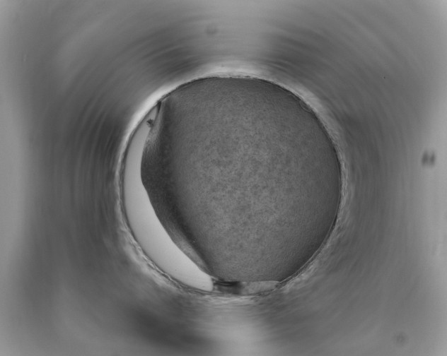 X0000089890864200707262229
