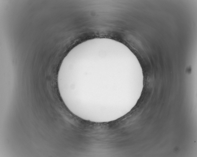 X0000089890865200707262228