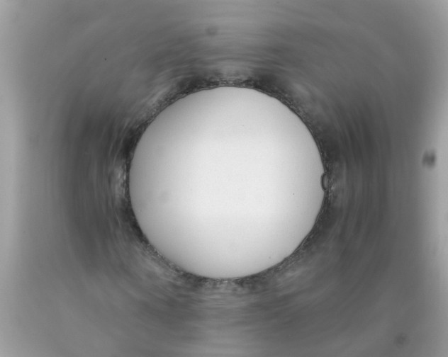 X0000089890866200707262228