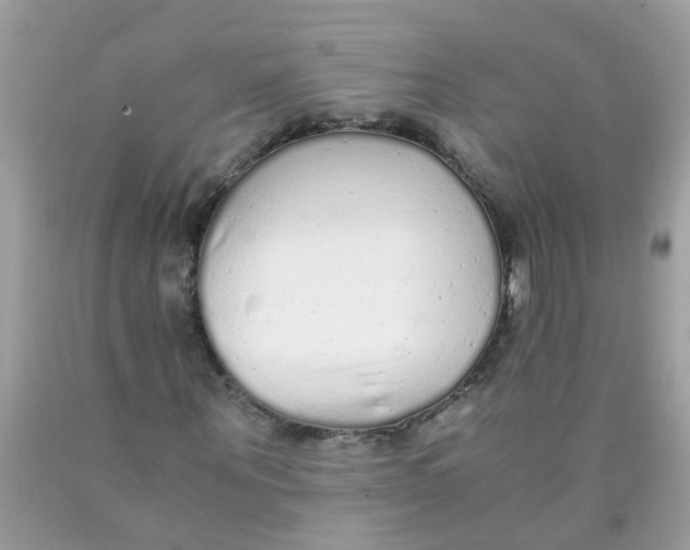 X0000089890867200707262228