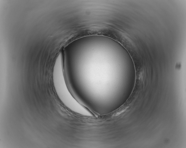 X0000089890868200707262228