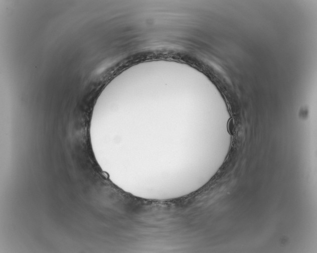 X0000089890869200707262228