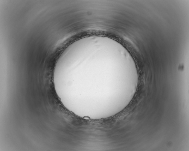 X0000089890870200707262228
