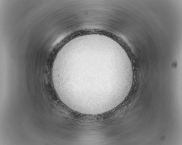 X0000089890871200707262228