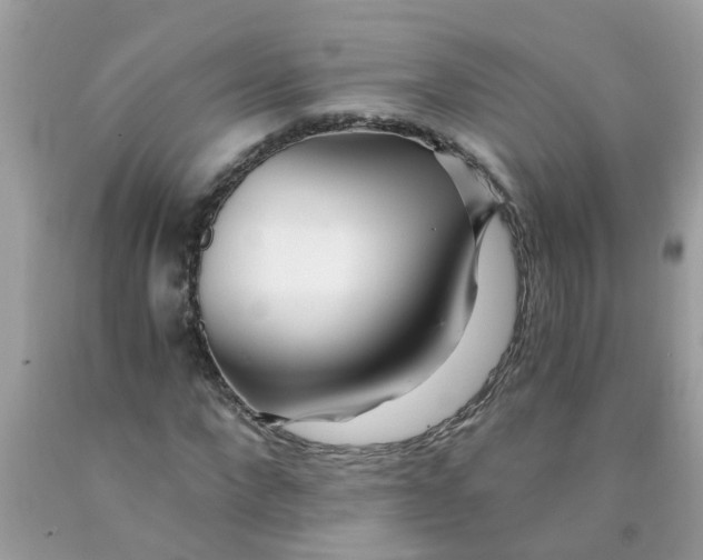 X0000089890872200707262228