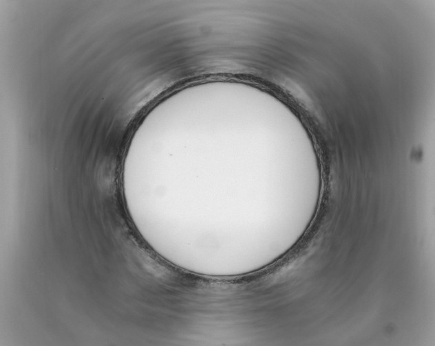 X0000089890873200707262228