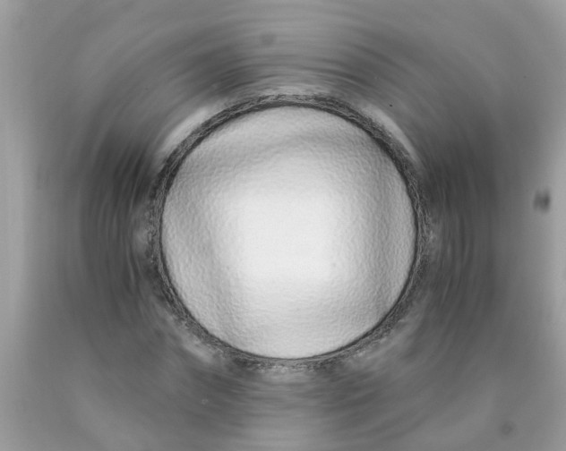 X0000089890874200707262228