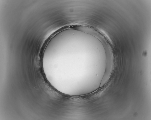 X0000089890876200707262228