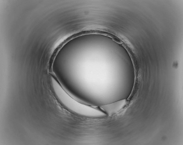 X0000089890877200707262228