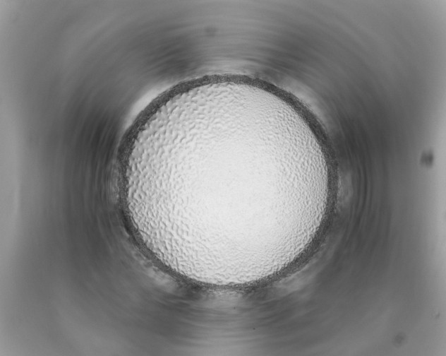 X0000089890878200707262228