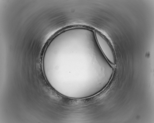 X0000089890879200707262228