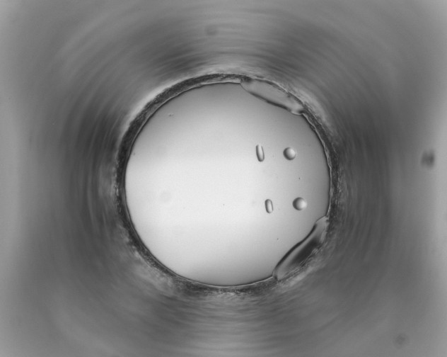 X0000089890880200707262228