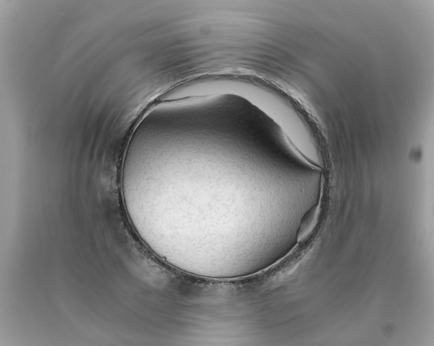 X0000089890881200707262228