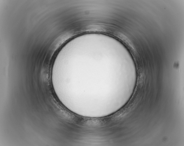 X0000089890882200707262228