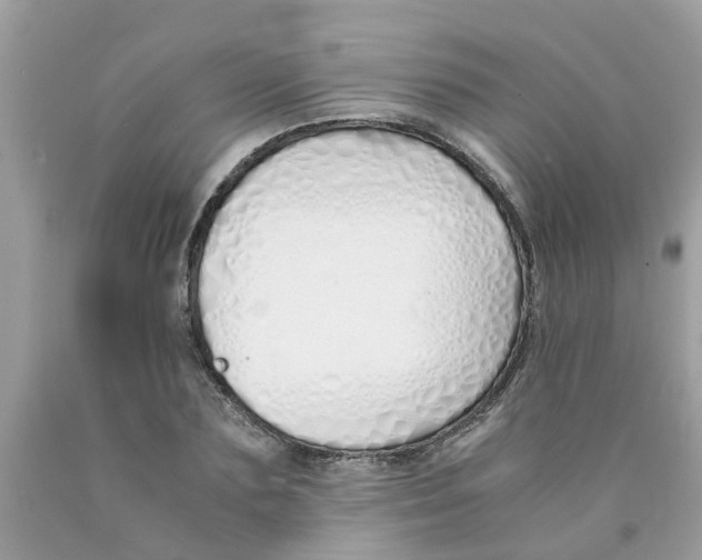 X0000089890883200707262228
