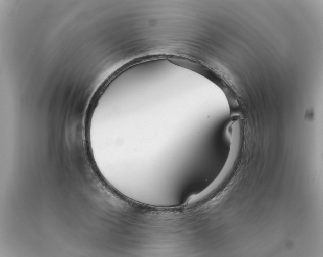 X0000089890884200707262228