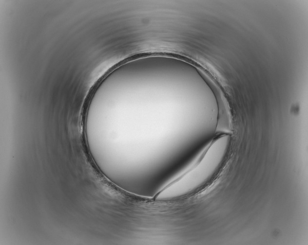 X0000089890885200707262228