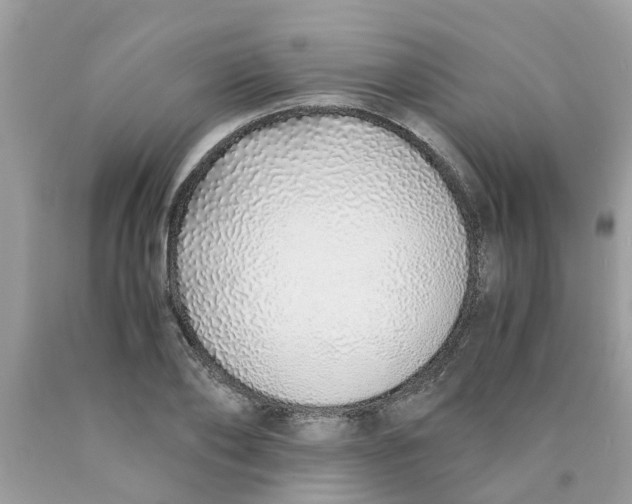 X0000089890886200707262228