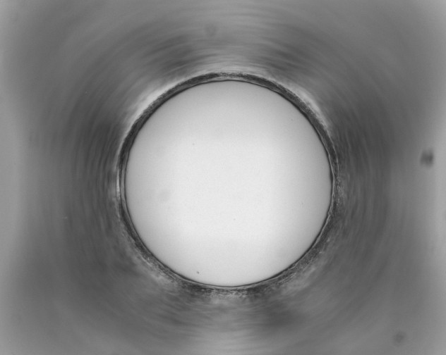 X0000089890887200707262228