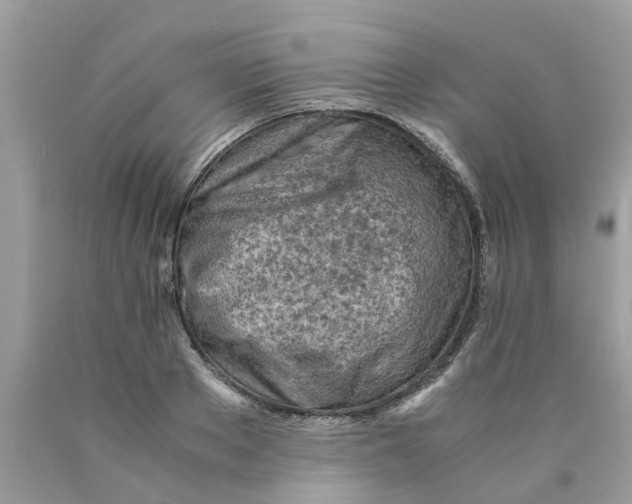 X0000089890889200707262228