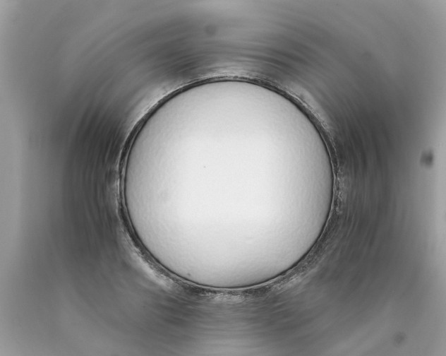 X0000089890890200707262228