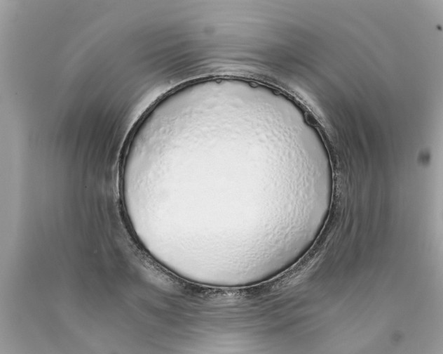 X0000089890891200707262228