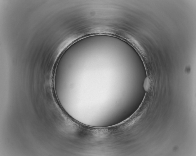 X0000089890893200707262227