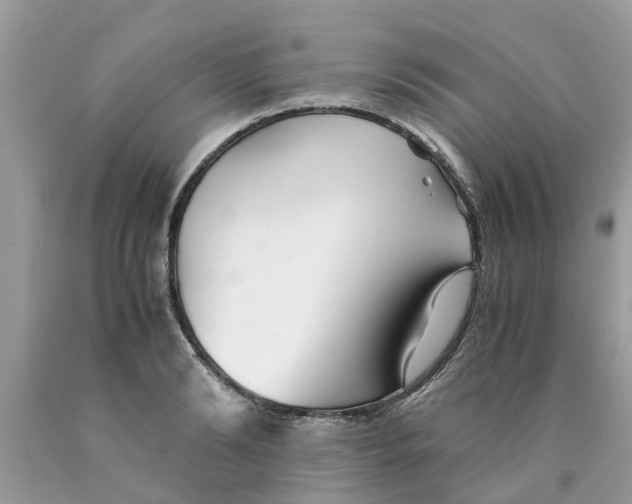 X0000089890894200707262227