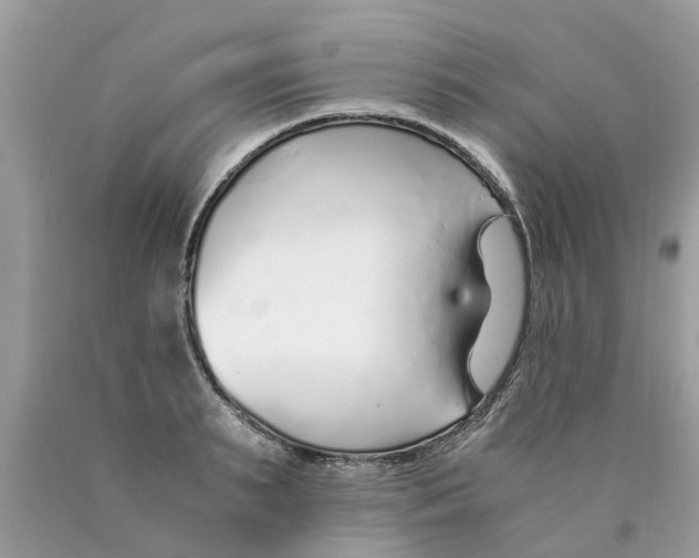 X0000089890895200707262227