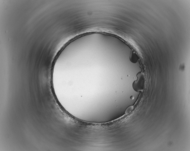 X0000089890896200707262227