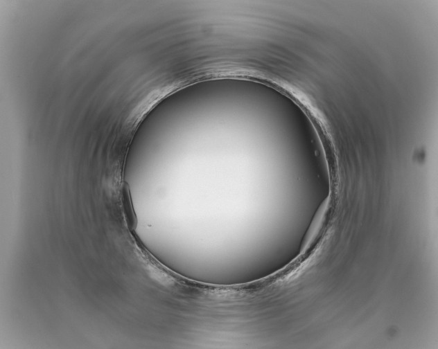 X0000089890897200707262227