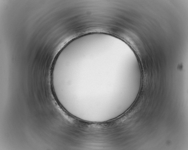X0000089890898200707262227
