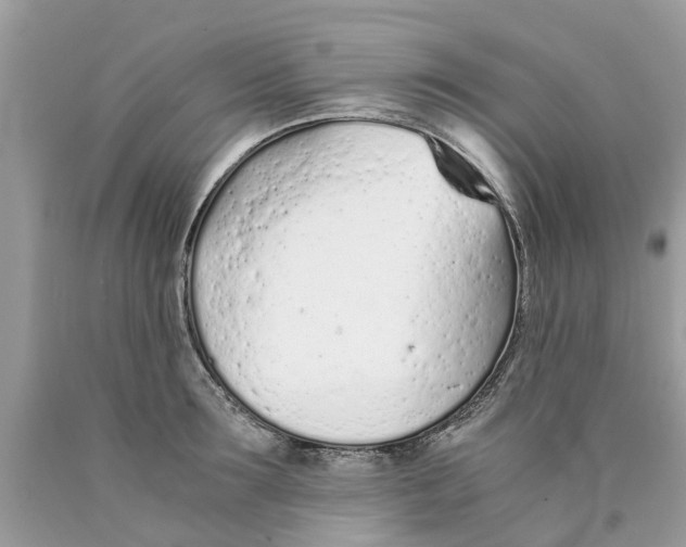 X0000089890899200707262227