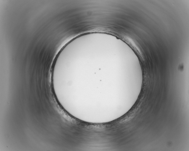 X0000089890900200707262227