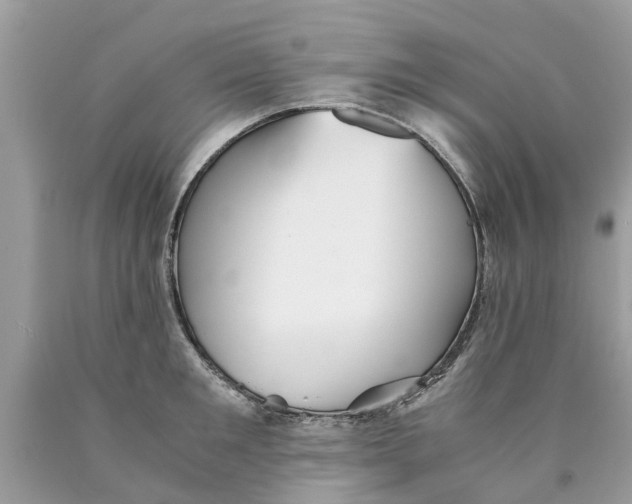 X0000089890901200707262227