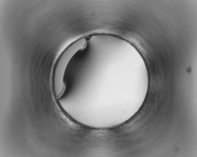 X0000089890902200707262227