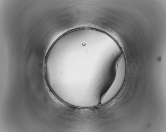 X0000089890903200707262227