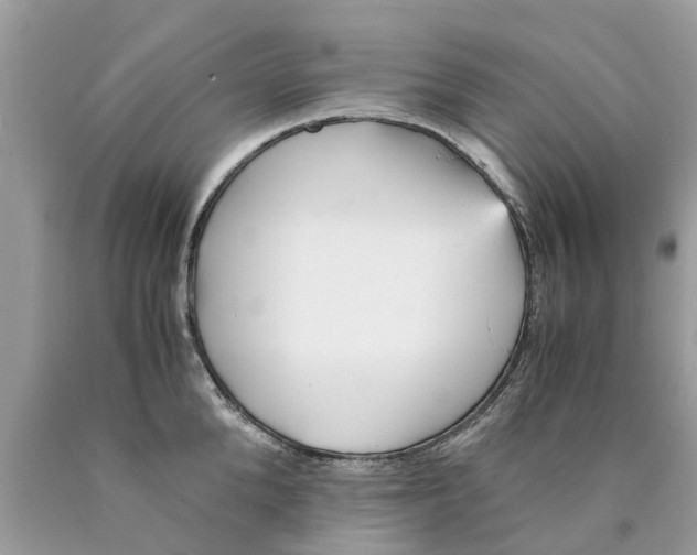 X0000089890904200707262227