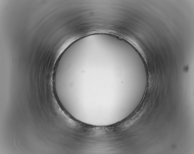 X0000089890906200707262227