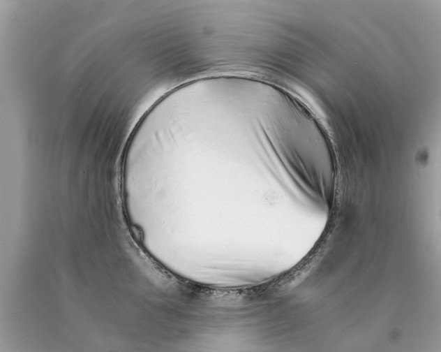 X0000089890907200707262227