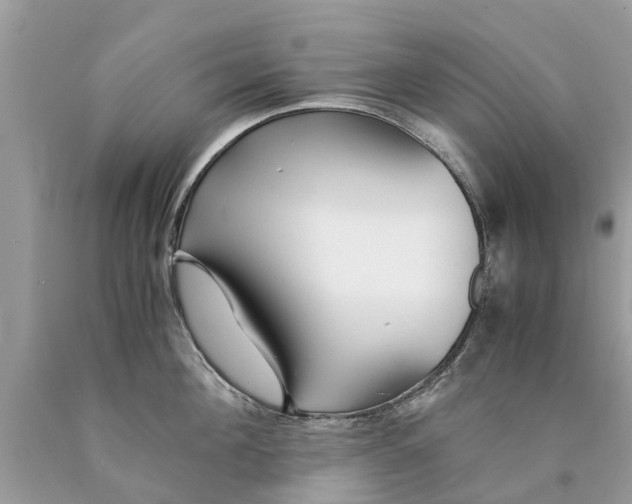 X0000089890908200707262227